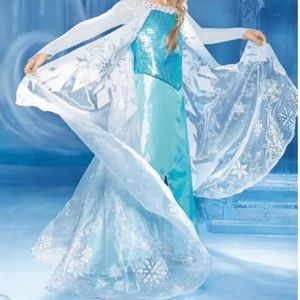 Elsa Dress by Chasing Fireflies